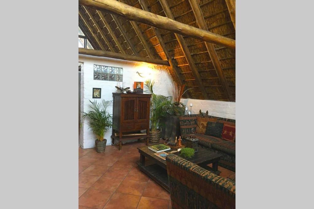 Pantera Lodge & Cheetah Cottage Johannesburg Eksteriør billede