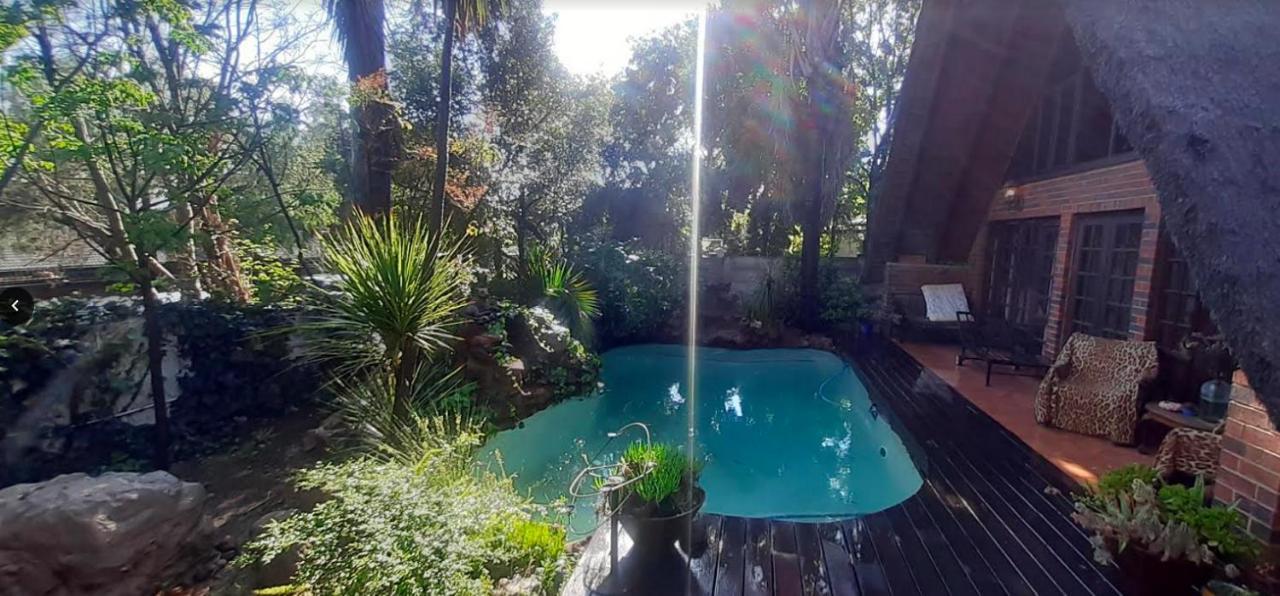 Pantera Lodge & Cheetah Cottage Johannesburg Eksteriør billede